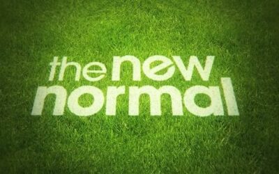 “New Normal”: Le Regole per l’E-Commerce